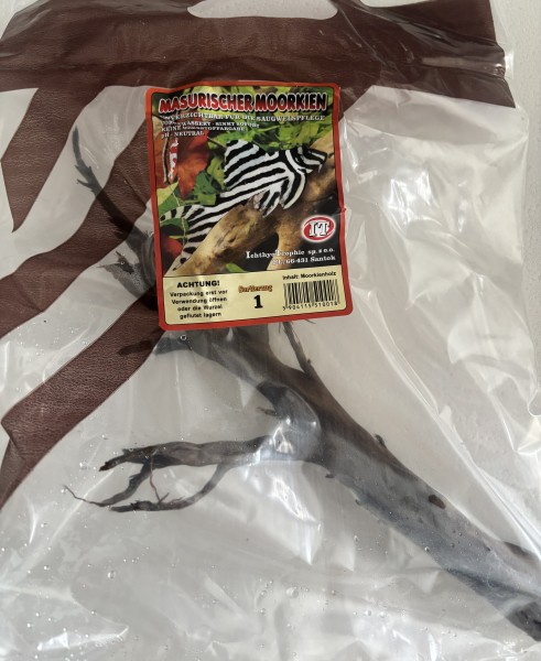 Masurisches Moorkienholz Gr.1 – gereinigt & sofort einsatzbereit