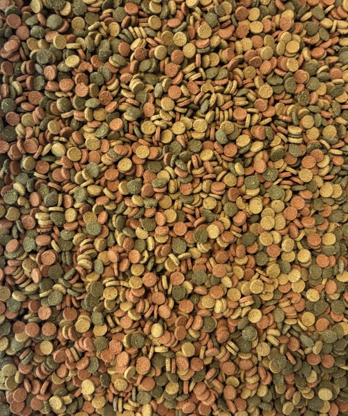 MiniWafers 3-Farb Mix (Grün/Rot/Gelb) – Spirulina, Astaxanthin & Vitamine für gesunde Zierfische