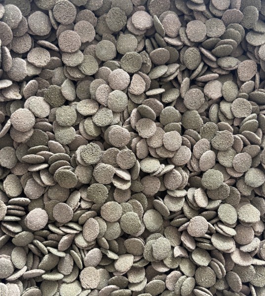 Algen-Wafers 12mm mit 6% Spirulina