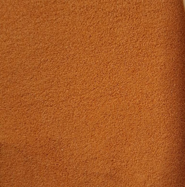 Entkapselte Artemiaeier – Futter für Fischbrut