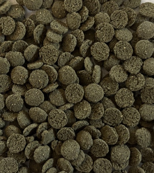 Mini Spirulina Algen Wafers 6% – Welsfutter & Garnelenfutter sinkend