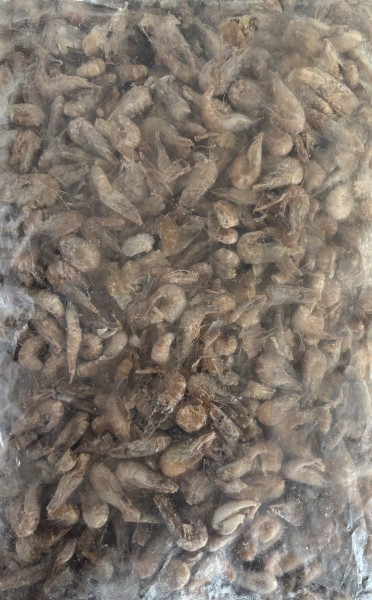 Sandgarnelen lose, gebrüht 1Kg Frostfutter