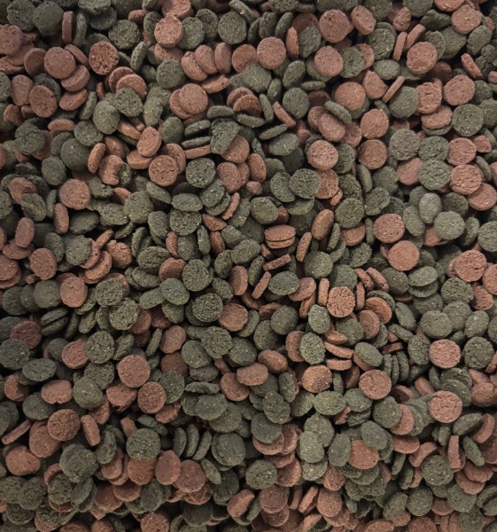 MiniWafers Mix mit 6 % Spirulina und Astaxanthin